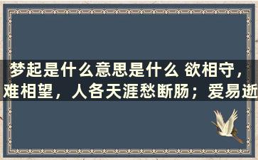 梦起是什么意思是什么 欲相守，难相望，人各天涯愁断肠；爱易逝，恨亦长，灯火阑珊人彷徨。是什么意思